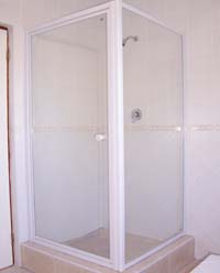 Framed pivot shower door with panel